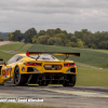 IMSA Weathertech (7)