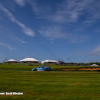 IMSA Racing Photos 2025 David Whealon 0207