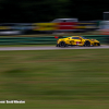 IMSA Racing Photos 2025 David Whealon 0089