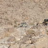 King of the Hammers 2016 BangShift Ultra4 Racing_410