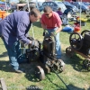 lyon_farm_tractors_and_engines09