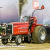 Galot Mule City 300 pulling1