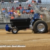 Galot Mule City 300 pulling61