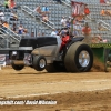 Galot Mule City 300 pulling73