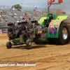 Galot Mule City 300 pulling74