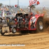 Galot Mule City 300 pulling77