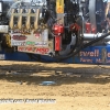 Galot Mule City 300 pulling1