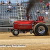 Galot Mule City 300 pulling13