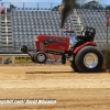 Galot Mule City 300 pulling15