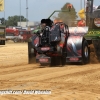 Galot Mule City 300 pulling18