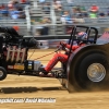 Galot Mule City 300 pulling19