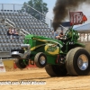 Galot Mule City 300 pulling20