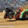 Galot Mule City 300 pulling25