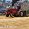 Galot Mule City 300 pulling29