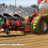 Galot Mule City 300 pulling3