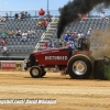 Galot Mule City 300 pulling31