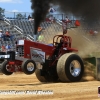 Galot Mule City 300 pulling37