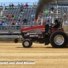 Galot Mule City 300 pulling43