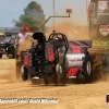 Galot Mule City 300 pulling47