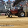 Galot Mule City 300 pulling52