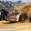 Galot Mule City 300 pulling54