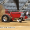 Galot Mule City 300 pulling61