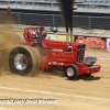 Galot Mule City 300 pulling66