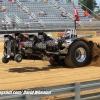 Galot Mule City 300 pulling8