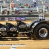 Galot Mule City 300 pulling9