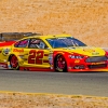 #22 Joey Logano x MIKE0127