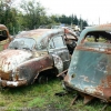 new_zealand_junkyard10