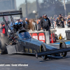 NHRA Gator Nationals 0067David Whealon