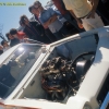 sanair-1972-nhra-041