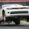 NHRA Finals 2019 110