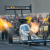 NHRA Finals 2019 204