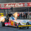 NHRA Finals 2019 247