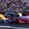 NHRA World Finals 208