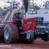 NC State Fair 2024 (78)