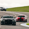 BS-Hector-Curiel-2018-Chevrolet-Camaro-DriveOPTIMA-Thunderhill-2024 (1003)