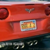 license-plates-of-the-20th-anniversary-corvette-museum-celebration-010