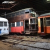 seashore trolley museum39