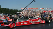 Budweiser Drops Bernstein at the End of 2009