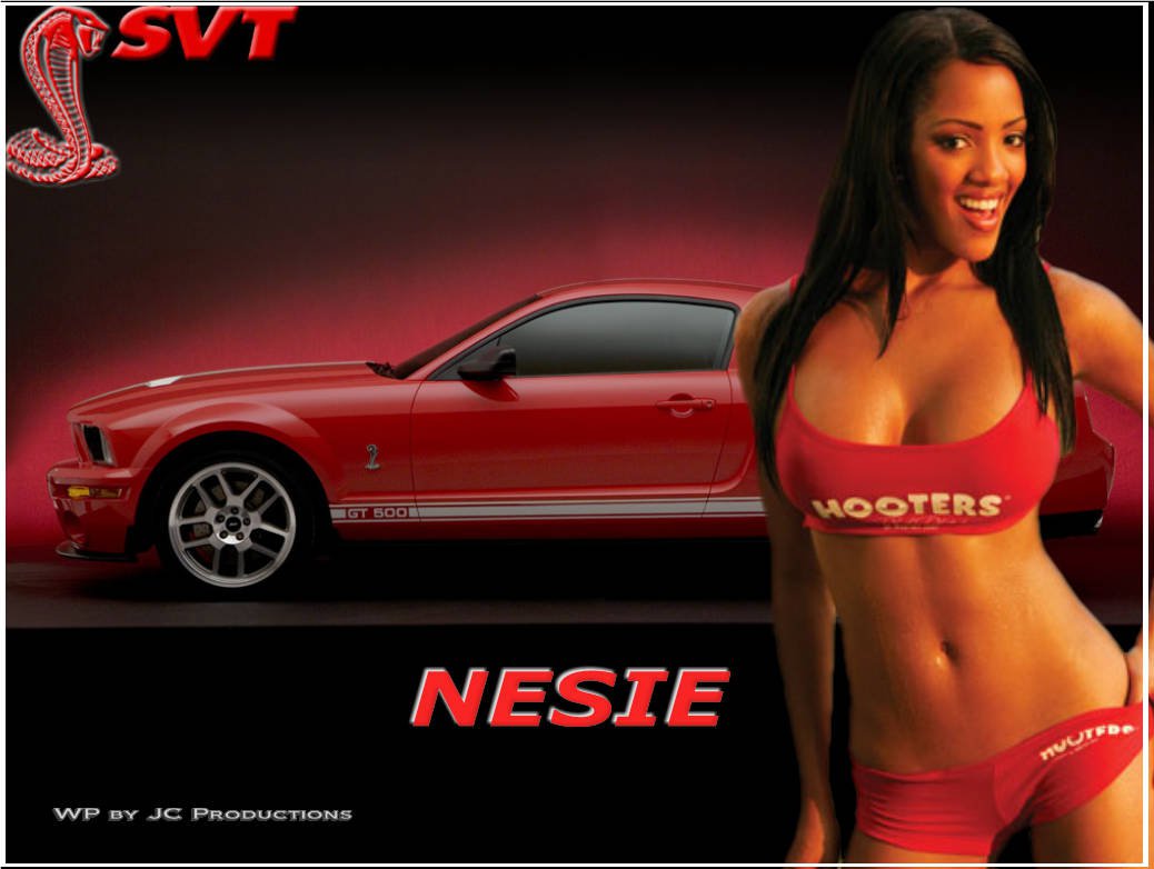 Click image for larger version

Name:	338457_129103050518355_359596_o.jpg
Views:	1294
Size:	79.4 KB
ID:	1016530