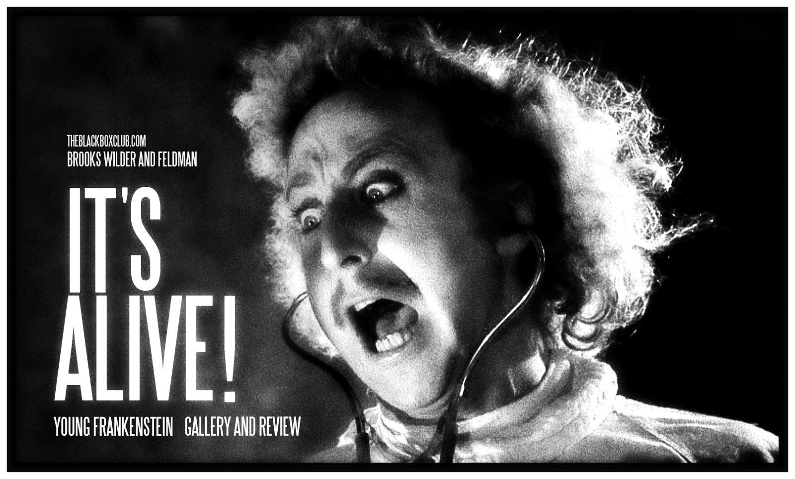 Click image for larger version

Name:	YOUNG+FRANKENSTEIN+100.jpg
Views:	164
Size:	267.4 KB
ID:	1087208