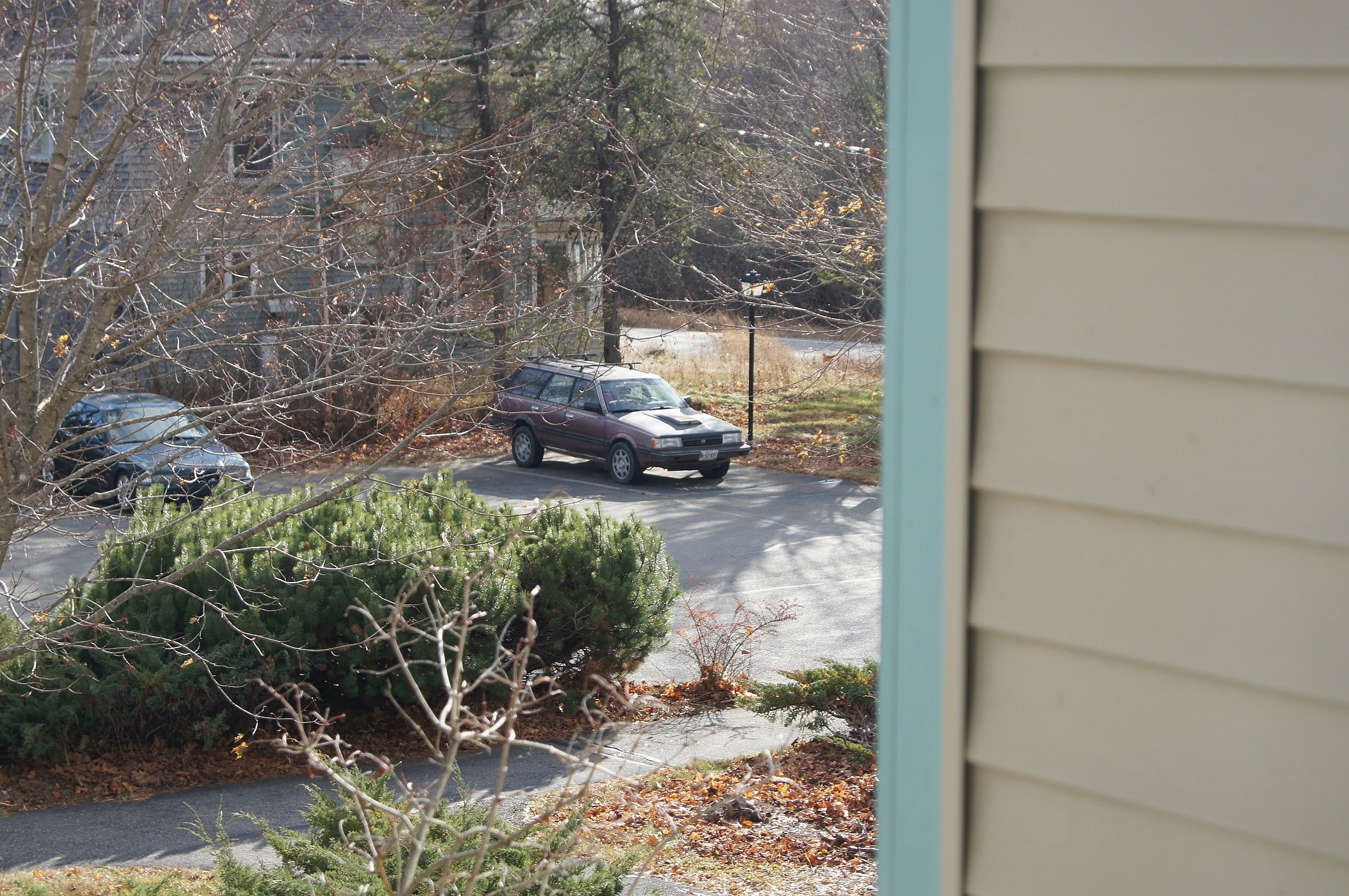 Click image for larger version  Name:	DSC086451w.jpg Views:	1 Size:	1.08 MB ID:	1181497