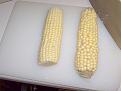 Corn 002.jpg