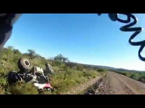 Watch Helmet Cam Video of a Guy Crashing His Quad Into a Cow at Full Tilt!