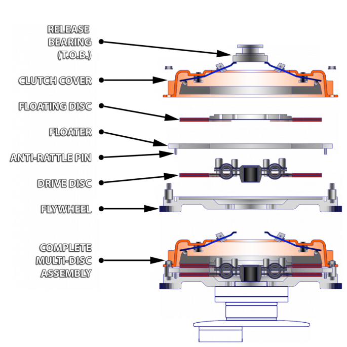 Cross-Section-DYAD-Labeled