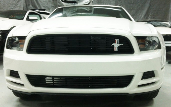 mustang2