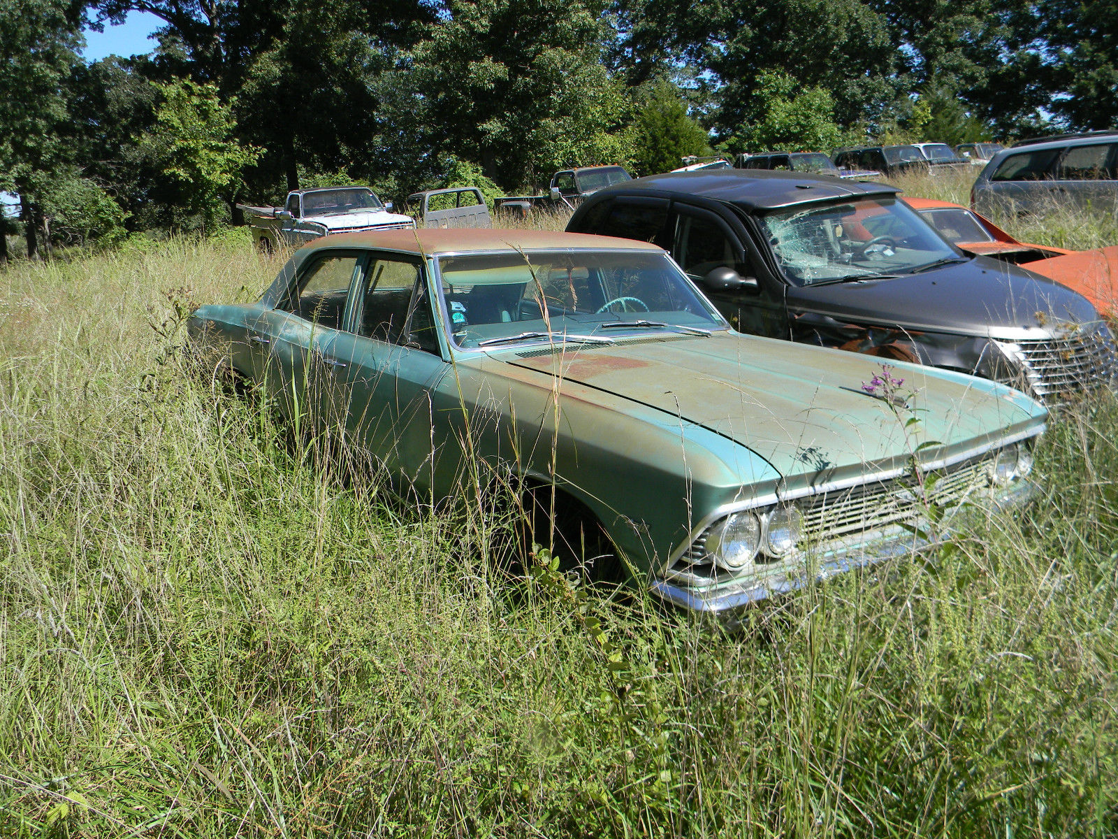 eBay Find: $50,000 For 40 (Or More) 1960s Chevelles, Trucks, Impalas, and Lots Of Parts….But There’s A Little Catch